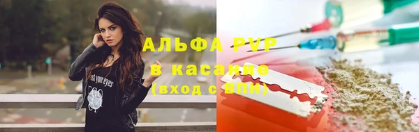 эйфоретик Баксан